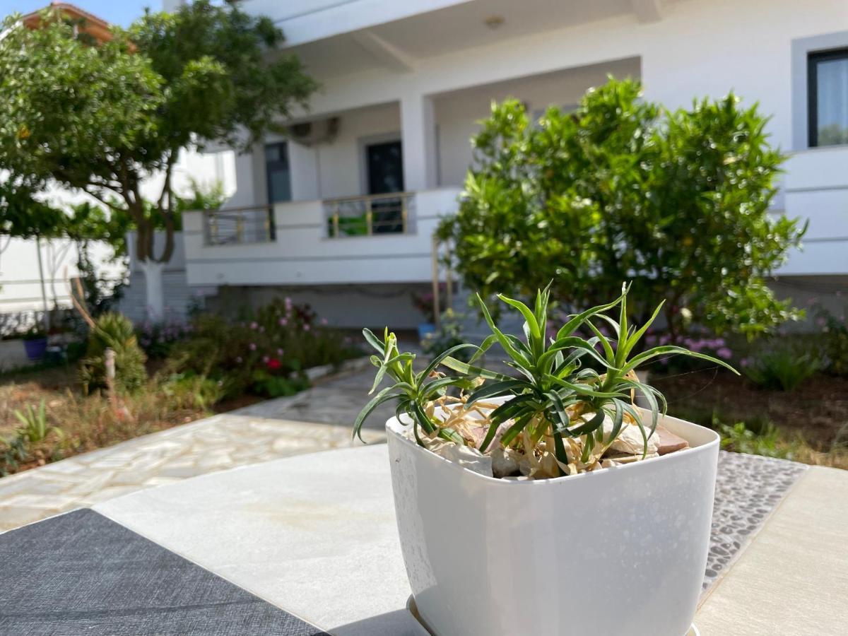 Villa Soni Oruci 卡萨米尔 外观 照片